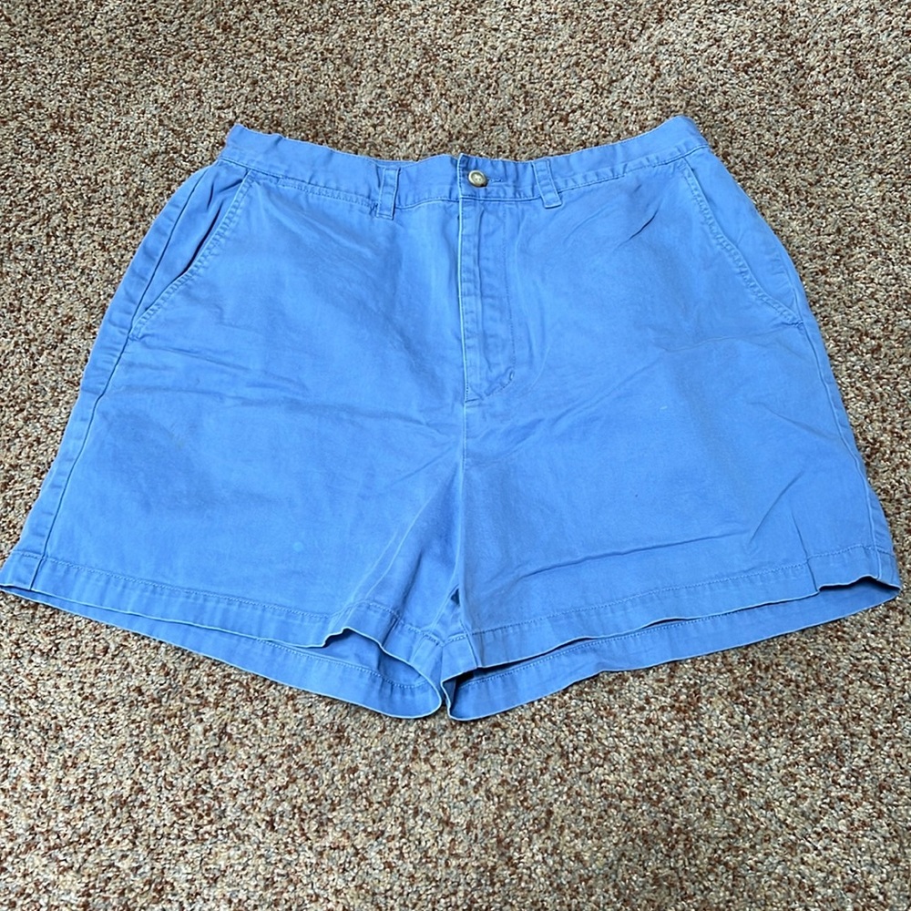 The Limited Blue Flat Front Shorts